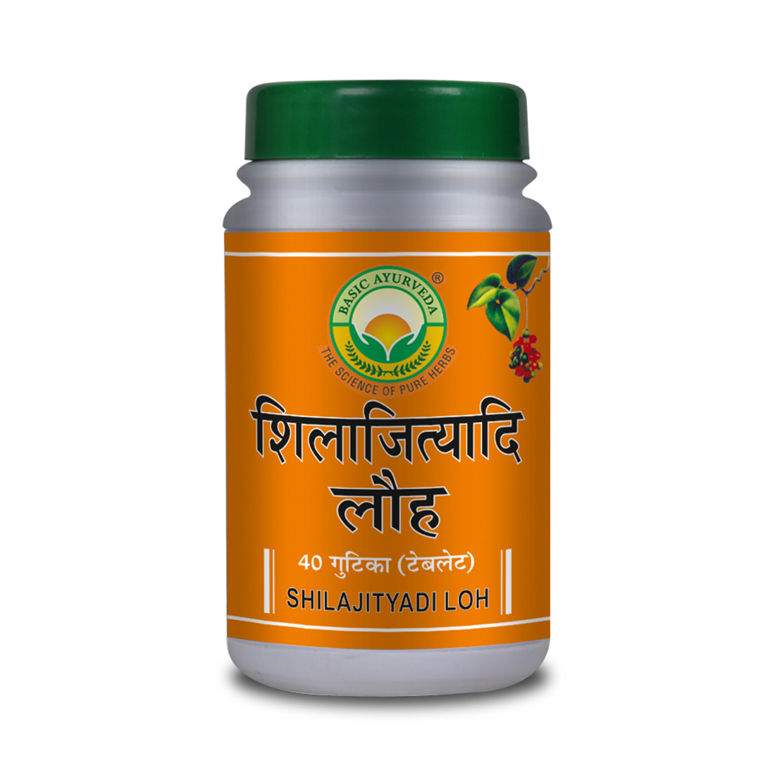 Shilajityadi Loh